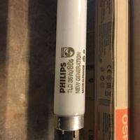 Vnedesi Neon da 36 e 58 Watt