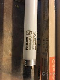 Vnedesi Neon da 36 e 58 Watt