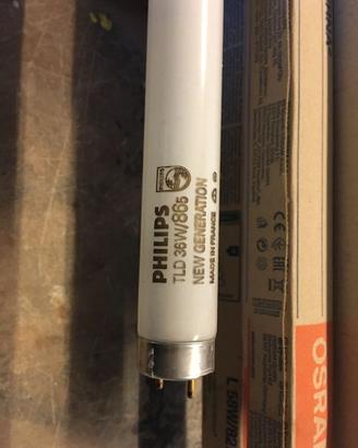 Vnedesi Neon da 36 e 58 Watt