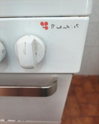 Cucina gas 4 fuochi + forno GPL Frankis