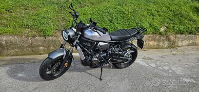 yamaha xsr 700