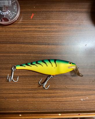 Esche da pesca