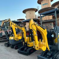 Mini escavatore 10 q.li GUNTER GROSSMANN