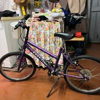 Bicletta da bambina 