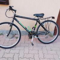 bicicletta Mountain bike
