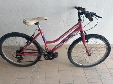 Bicicletta  mtb binbo