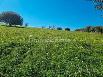 Vendita terreno Cocari, Comune di Vibo Valentia (V