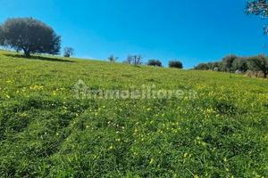 Vendita terreno Cocari, Comune di Vibo Valentia (V