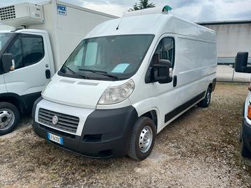 Fiat Ducato Isotermico con Frigo