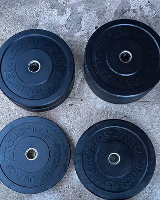 100 KG dischi olimpici Lacertosus – pesi palestra