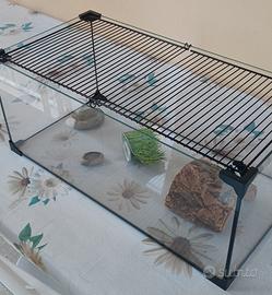 Terrario + lampada 