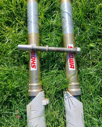 forcelle showa per  beta xtrainer 300