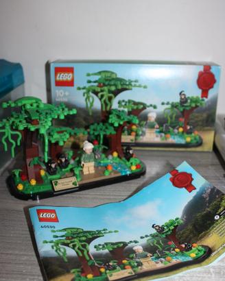 Lego 40530 omaggio a Jane Goodall