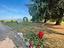 Immagine 10