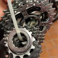 Pacco pignoni campagnolo