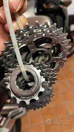 Pacco pignoni campagnolo