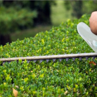 Giardiniere potatore