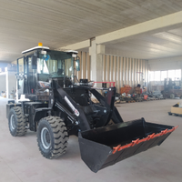 Minipala, ruspa movimento terra 30ql