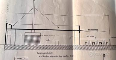 Attività commerciale di pizzeria trentennale