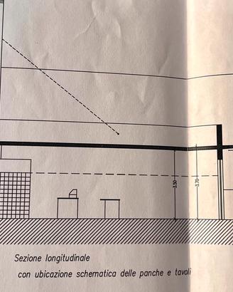Attività commerciale di pizzeria trentennale