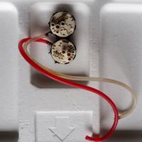 pressostato doppio lavastoglie candy CDI 1012