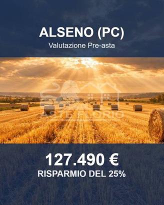Immobile in asta di 96219 m² a Alseno