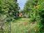 Immagine 21