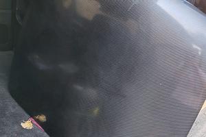 cofano osso di seppia 