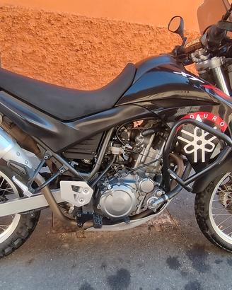 XT 660 r