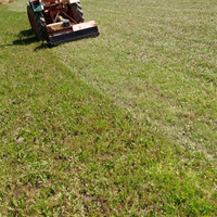 Terreno agricolo a cancello chiuso