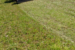 Terreno agricolo a cancello chiuso