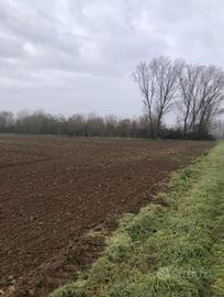 RGE 258/2024 Trib Pavia - LOTTO 2