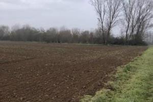 RGE 258/2024 Trib Pavia - LOTTO 2