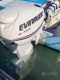 Evinrude E -tec 25 hp