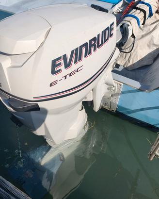 Evinrude E -tec 25 hp