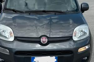 Panda 2016  gpl scaduto