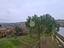 Immagine 10