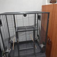 voliera montana single