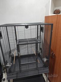 voliera montana single