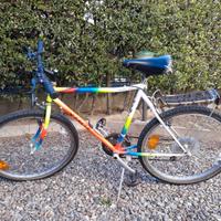 Bicicletta Mountain Bike Eagle