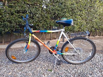 Bicicletta Mountain Bike Eagle