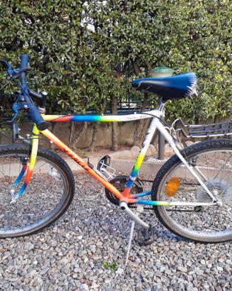 Bicicletta Mountain Bike Eagle