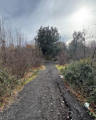 Terreno - Pedara