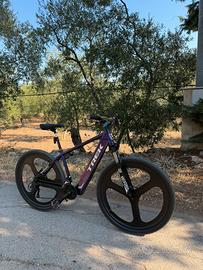 Mtb i-bike trek mud 29