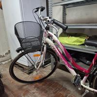 Bicicletta City bike "Lombardo" siena 100 donna