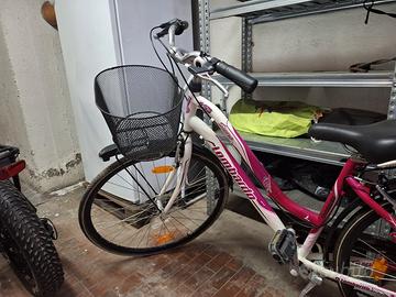 Bicicletta City bike "Lombardo" siena 100 donna