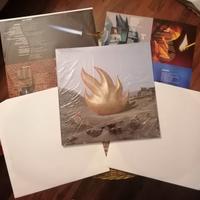 Dischi vinile LP grunge rock alternativo, Nirvana