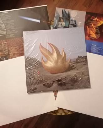 Dischi vinile LP grunge rock alternativo, Nirvana