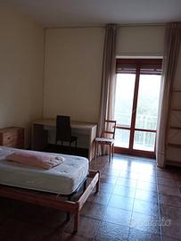 Camera per studenti 237Euro