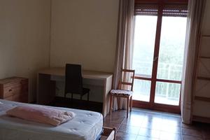 Camera per studenti 237Euro